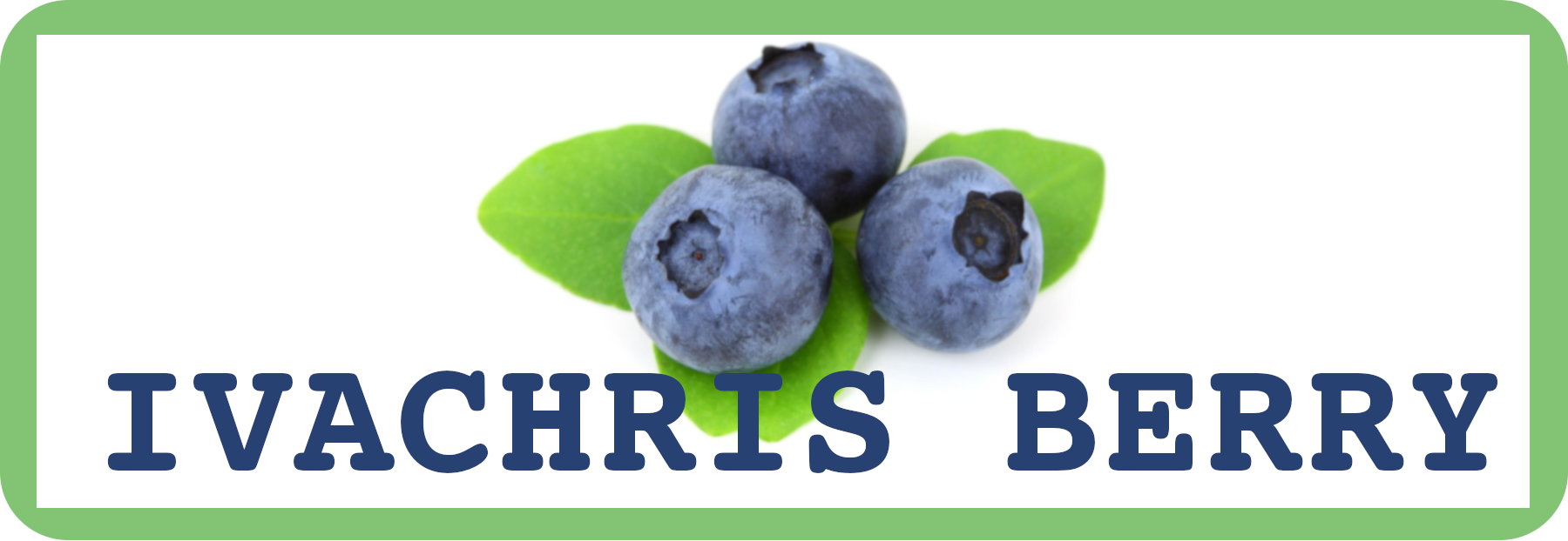 Logo pentru Ivachris Berry afine Dambovita